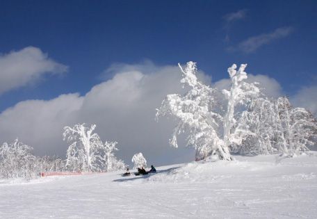 【札幌出發】附有滑雪優惠券!到訪雪質優良，備受注目的Kamui Ski Links滑雪場的巴士行程【停留6小時】