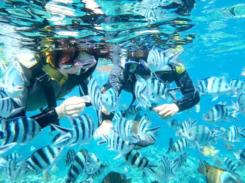 About Okinawa Snorkeling