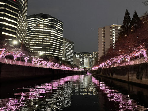 お台場レインボー花火&目黒川イルミネーションクルーズ2025【お台場花火観賞】【天王洲ピア桟橋18:00出航】お台場レインボー花火&目黒川イルミネーションクルーズ2025 お台場レインボー花火&目黒川イルミネーションクルーズ2025【お台場花火観賞】【天王洲ピア桟橋18:00出航】お台場レインボー花火&目黒川イルミネーションクルーズ2025