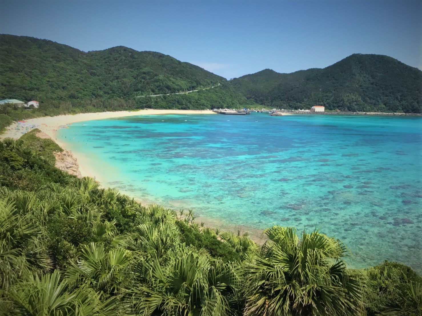 沖縄県の日帰り離島ツアーの予約 日本旅行 オプショナルツアー アクティビティ 遊びの体験予約