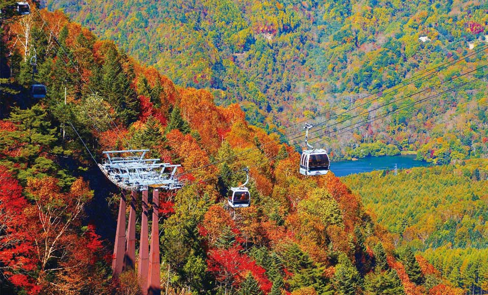 日光白根山ロープウェイの紅葉 紅葉情報2019