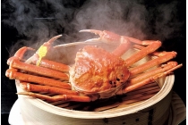 【名古屋駅発】*日帰り昼食付*活かに約2.5杯使用! 『越前活かに会席』【名鉄バスセンター4階 8:10発】*日帰り昼食付*活かに約2.5杯使用! 『越前活かに会席』 / 24276A 【名古屋駅発】*日帰り昼食付*活かに約2.5杯使用! 『越前活かに会席』【名鉄バスセンター4階 8:10発】*日帰り昼食付*活かに約2.5杯使用! 『越前活かに会席』 / 24276A