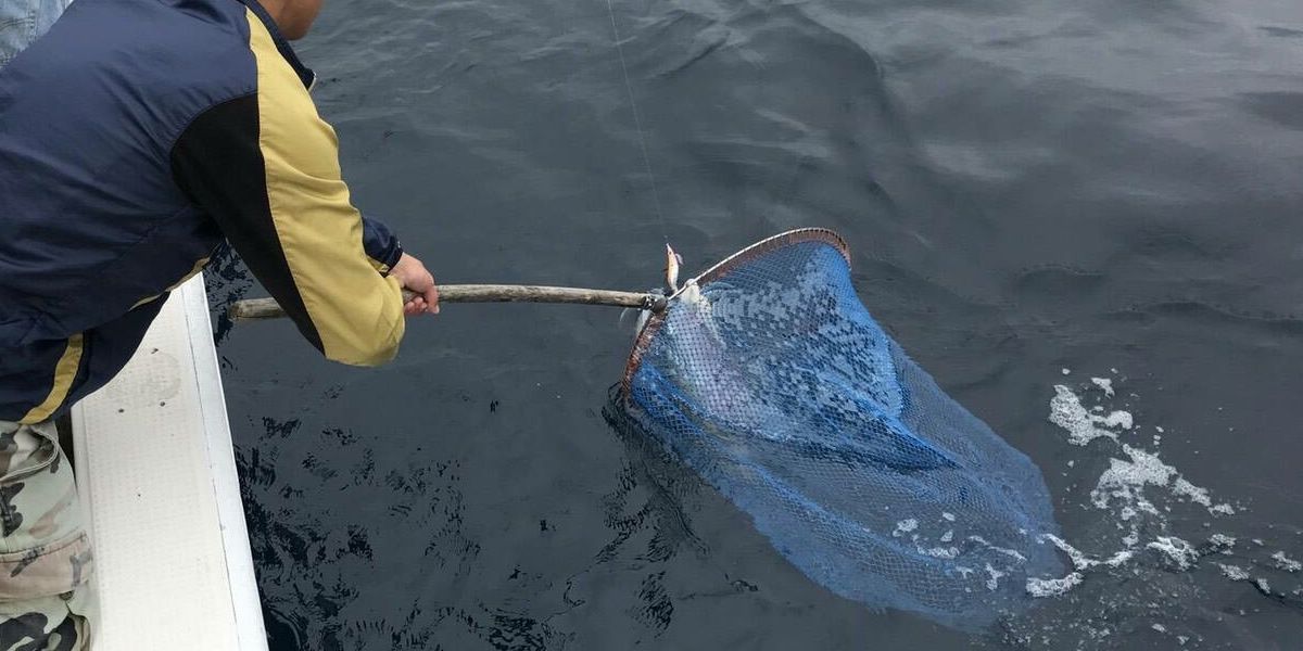 沖縄県の釣り 釣り船 海上釣り堀の予約 日本旅行 オプショナルツアー アクティビティ 遊びの体験予約