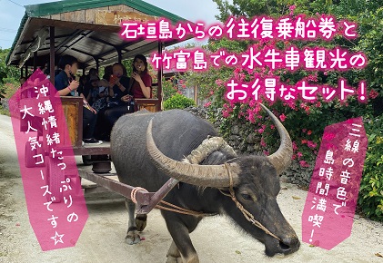 沖縄県の日帰り離島ツアーの予約 日本旅行 オプショナルツアー アクティビティ 遊びの体験予約