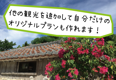 沖縄県の日帰り離島ツアーの予約 日本旅行 オプショナルツアー アクティビティ 遊びの体験予約