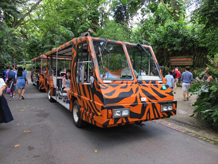 トラムで動物園を効率よく周ろう！