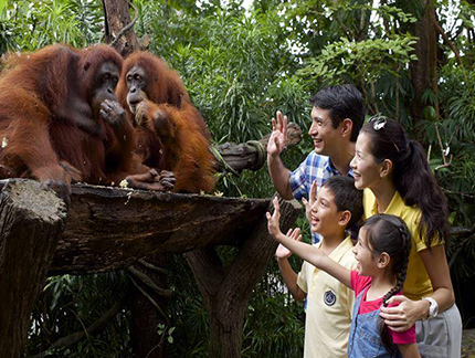 シンガポール動物園 日本語トラム確約・優先乗車&サファリウォーク付き