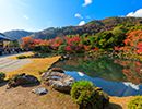 arashiyama