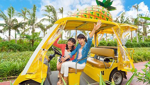 Nago pineapple park