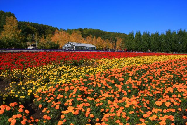 Hokkaido