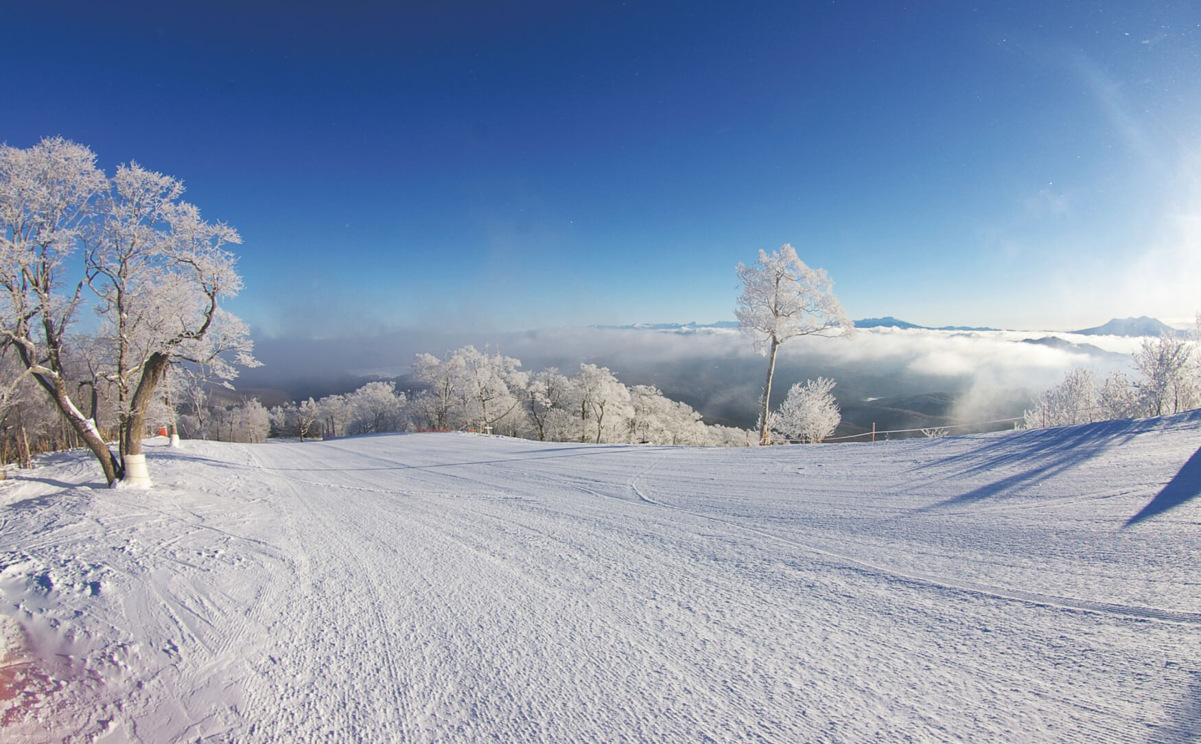 Departure from Nagoya MEIHO Snow Resort One day bus trip