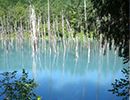blue pond in Biei