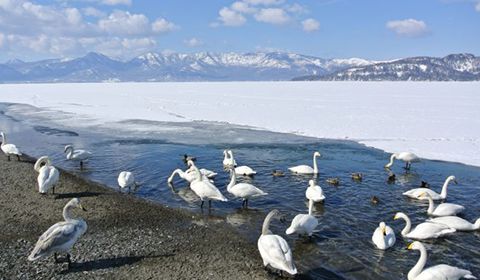 hot spots of Kushiro・Akan・Mashu via Excursion Bus