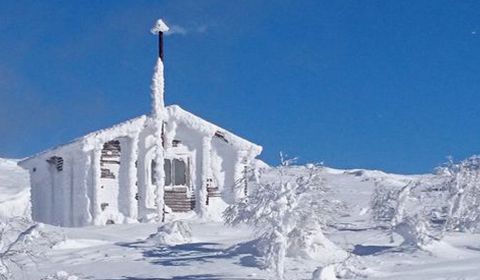 Chill and enjoy Nayoro's powder snow!