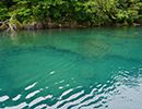 Lake Shikotsu