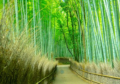 Arashiyama