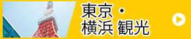 東京横浜観光