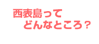 西表島ってどんなところ？