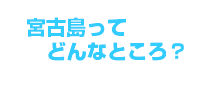 宮古島ってどんなところ？