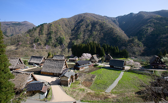 富山観光プラン