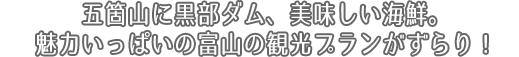 富山の観光プランを探そう