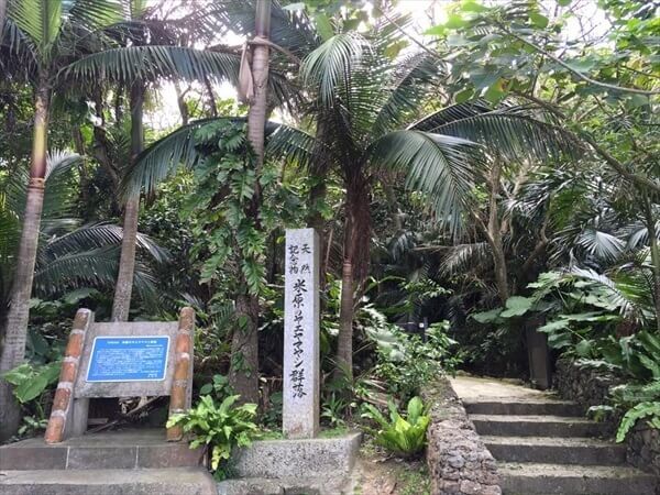 石垣島定期観光バス|旅プラスワン