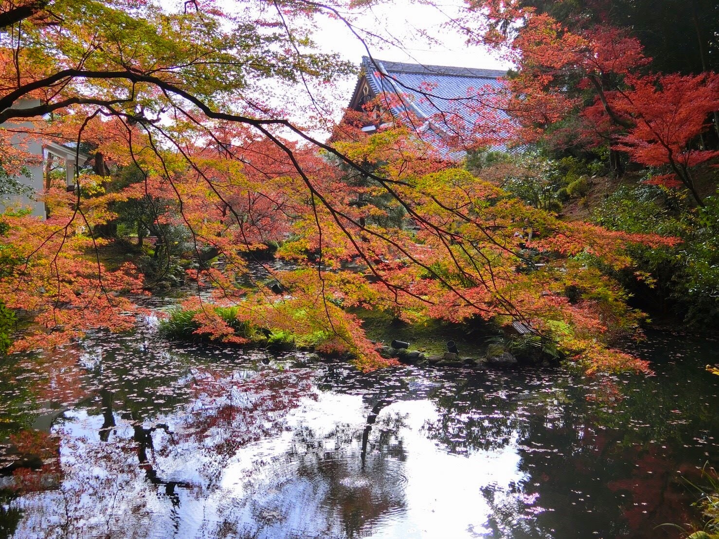 金戒光明寺