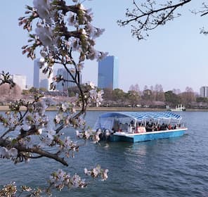 大阪お花見クルーズ