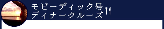 ディナークルーズ