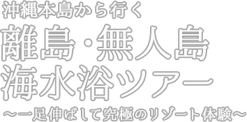 沖縄本島から行く離島 無人島 日帰り海水浴ツアー 旅プラスワン