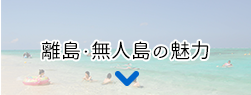 離島・無人島の魅力