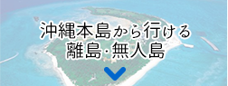 離島・無人島の魅力