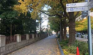 アクセス3