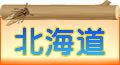 エリア北海道