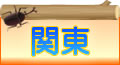エリア関東