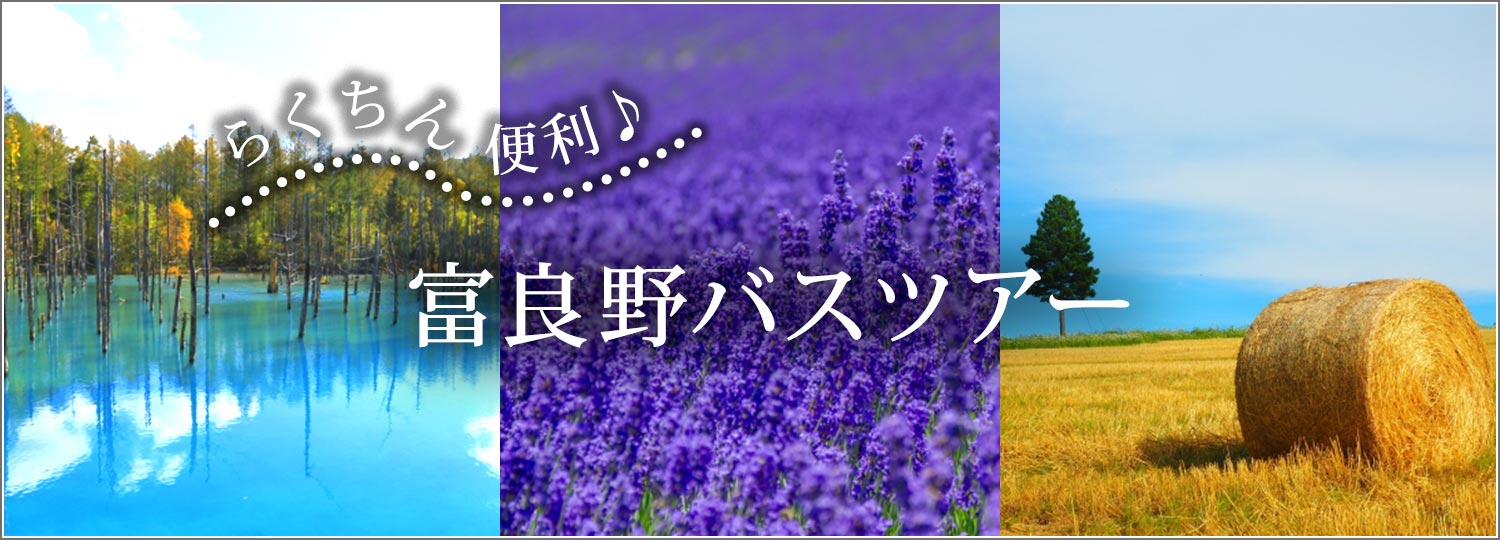 富良野 美瑛観光バスツアー 札幌発 旅プラスワン