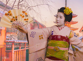 スタンダードプラン