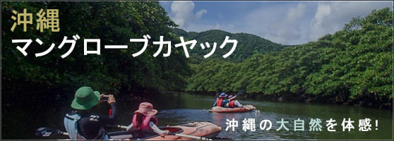 沖縄でマングローブカヤック 予約するなら旅プラスワン 沖縄でマングローブカヤック 予約するなら旅プラスワン