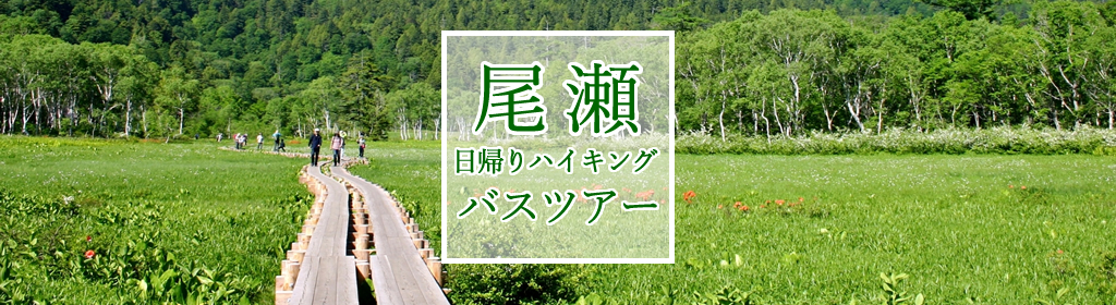 東京発尾瀬日帰りツアー