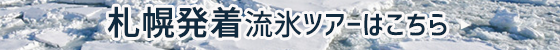 道東発着流氷ツアー