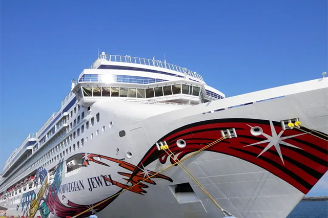 クルーズ限定・ホテル発～桂浜散策～高知新港まで送迎！短時間で海と自然を満喫できる3時間時短コース！