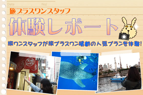体験レポート
