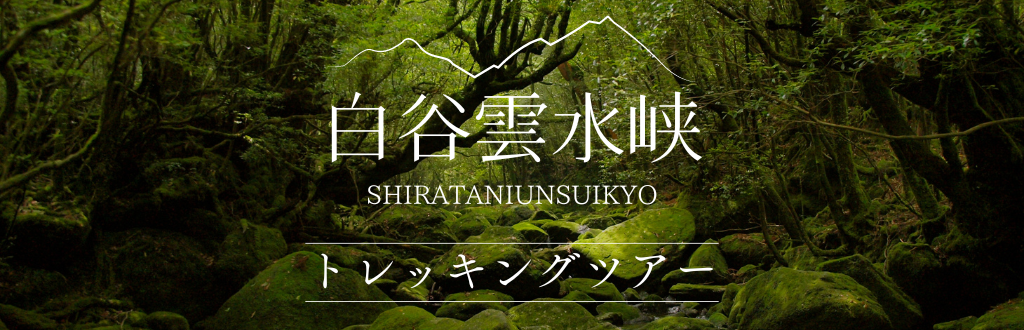 白谷雲水峡トレッキングツアー