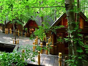 【トマム発着で富良野・美瑛へ】ふらのジャム園・ファーム富田・四季彩の丘・しらひげの滝・青い池・ニングルテラスの人気スポット巡り!ファミリーにも人気です。