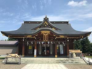 【旭川から富良野・美瑛へ】ファーム富田・青い池・白ひげの滝に縁結びで有名なパワースポット「美瑛神社」を巡る!美瑛の魅力体験コース