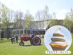 【富良野発着】ベストシーズンの富良野をじっくり観光!ファーム富田にふらのワイナリーに注目の新スポット「ドメーヌレゾン」!夏真っ盛りの富良野