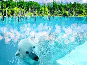 地元の自家製料理バイキングと旬のメロン食べ放題のランチ付!旭山動物園と青い池・白髭の滝を巡る絶景の旅