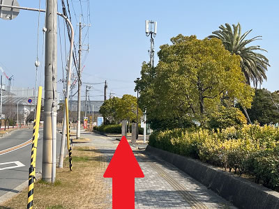 アクセス5