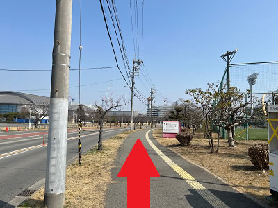アクセス6