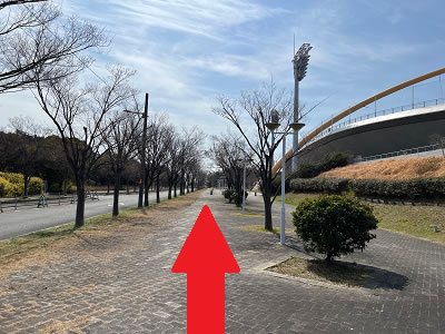 アクセス9